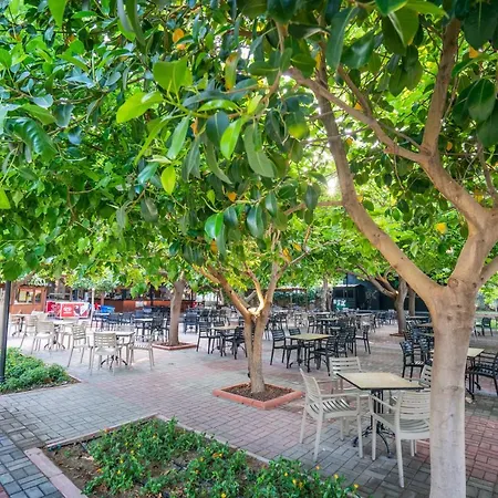 Gardenia Алания